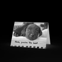 Mum, you're the best . . . cards