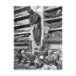 Mummies in the Palermo catacombs, Italy postcards