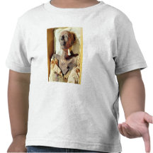 Mummified body of Ramesses II  found in a tomb Shirts