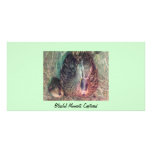 Mummy & Baby Mallard Photo Card photo cards