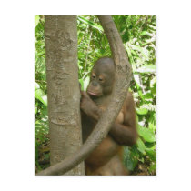 Mummy, I'm bored Postcard