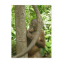 Mummy, I'm bored Postcard