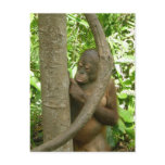 Mummy, I'm bored postcards