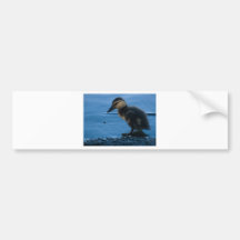 Mummy, it's too cold! bumper sticker