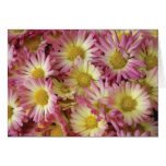 Mums Greeting Card