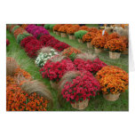 Mums the word greeting card