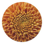 Mums the Word