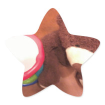 MUNGAI STAR STICKERS