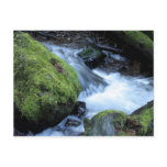 Munson Creek Postcard