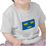 Munster, Ireland flag t-shirts