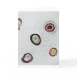 Murano Millefiori Detail Study Greeting Cards