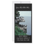 Murres on Sea Cliffs, Priibilof Islands rack cards
