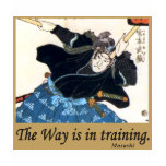 Musashi t-shirts