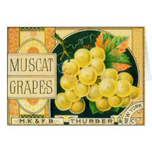 Muscat Grapes, Vintage Fruit Crate Label Art Greeting Card