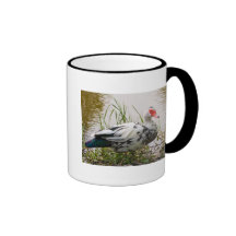Muscovy Duck Mug