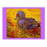 muscovy duck postcard