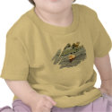 Muscovy Duckling T-Shirt