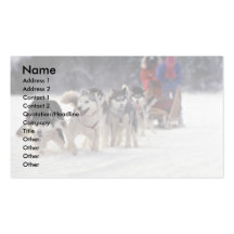 Mush Business Cards
