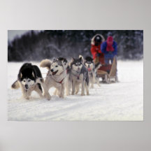 Mush Poster
