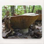 Mushroom 161 ~ mousepad