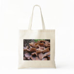 Mushroom #4 tote bag