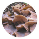 Mushroom #4 stickers
