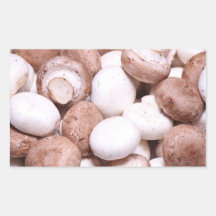 Mushroom background rectangular sticker