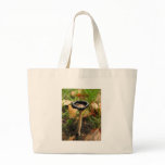 mushroom bags