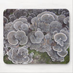 "Mushroom Cluster" Mousepad