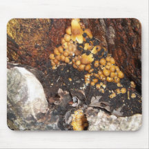 Mushroom Cluster Unopened Caps Mouse Pads