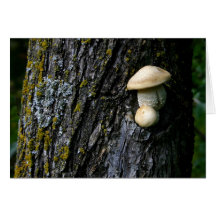 Mushroom Greeting Card