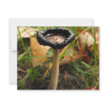 mushroom invitations