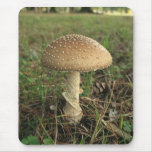 Mushroom Mousepads
