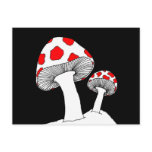 Mushroom Postcard