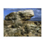 Mushroom Rock Color Photo Post Card