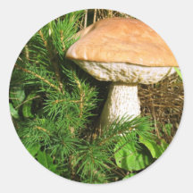 Mushroom Round Stickers