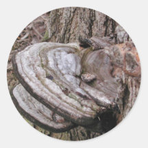 Mushroom Sticker