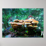 mushroom village posters
