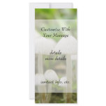 Mushroom World Customized Rack Card