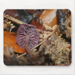 Mushrooms Amethyst Deciever mousepads