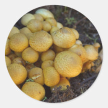 Mushrooms Fungus Stickers