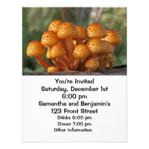 Mushrooms Macro Photo Personalized Invites