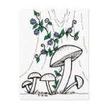 Mushrooms & Morning Glories postcard