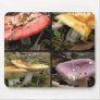 Mushrooms Mousepad