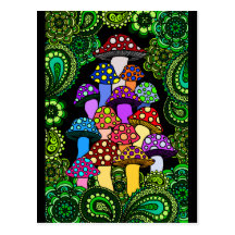 Mushrooms Postcard