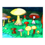Mushrooms Postcard