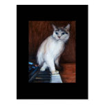 Music Man (cat) ACEO Art Trading Card Post Card