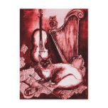 MUSICAL CAT ,Red and White Post Card