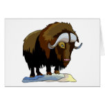 Musk Ox cards