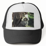 Musk Ox hats